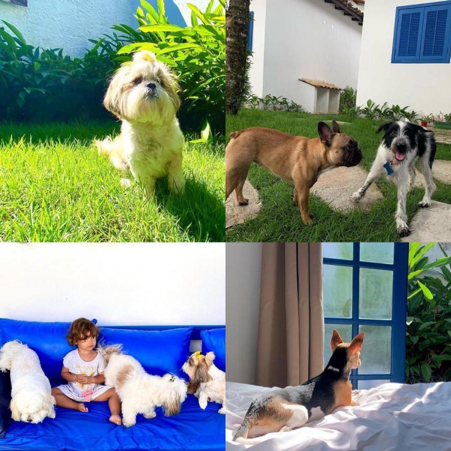 Suites Curta Paraty, Familia E Pets Dış mekan fotoğraf